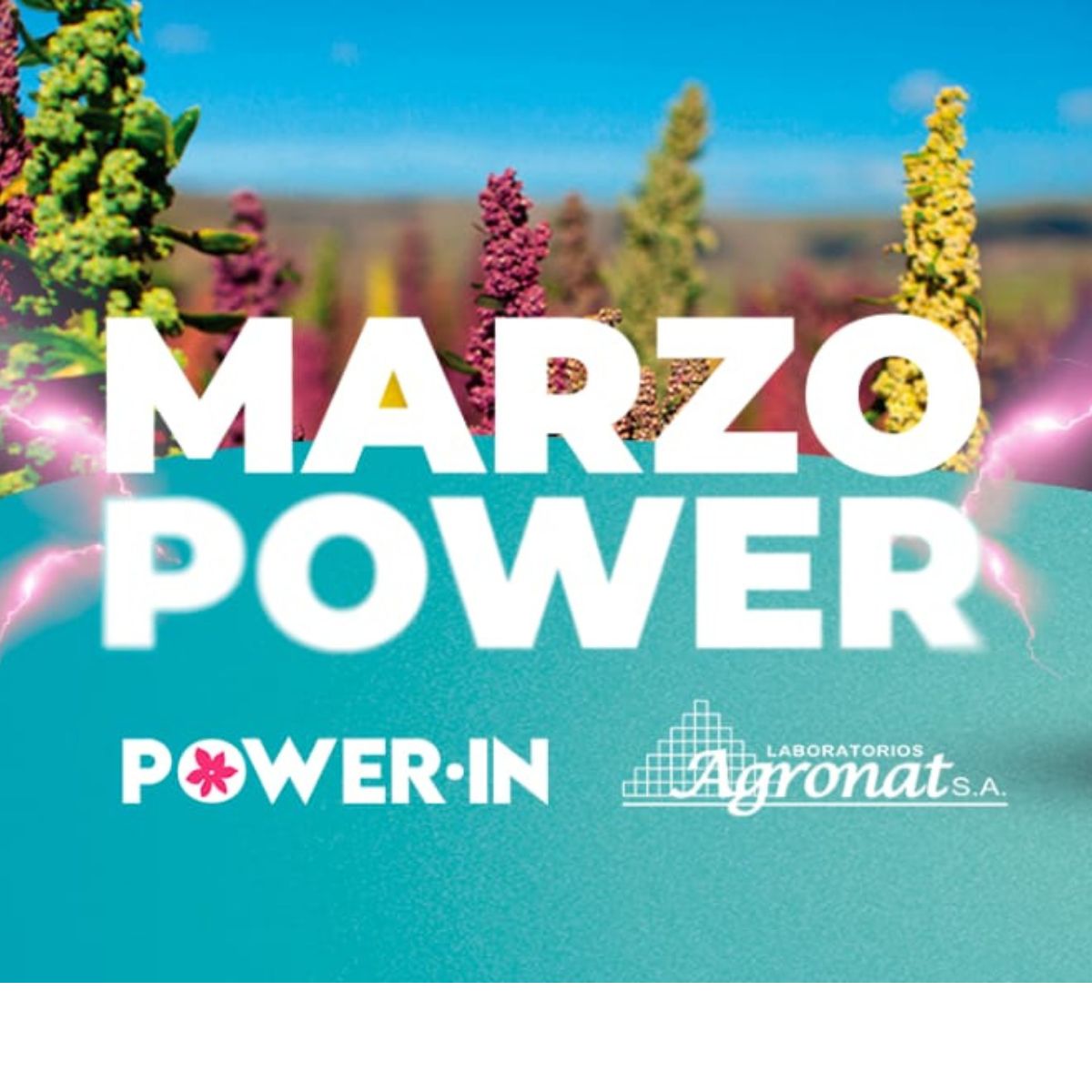 LANZAMIENTO DE PRODUCTO DE LA EMPRESA AGRONAT